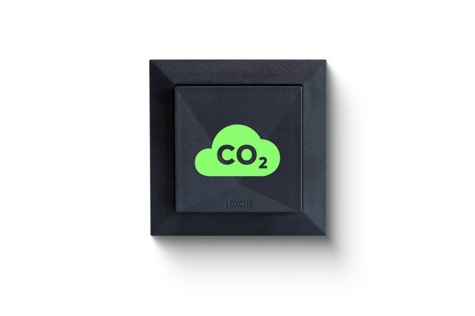 Sensore Climatico Tree Antracite (CO2, temperatura, umidità)