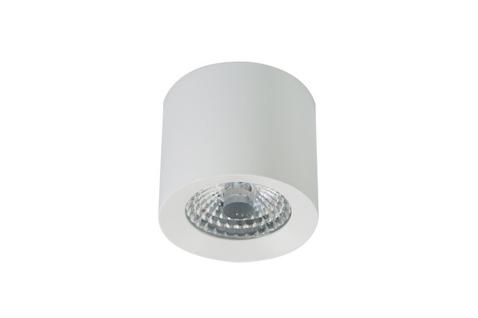 LED Ceiling Spot WW  Gen 1 White