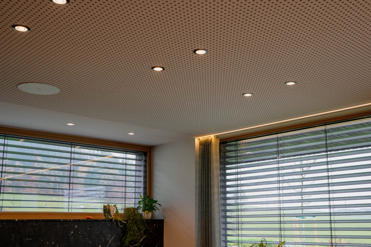 LED Spot RGBW Tree Anthracite