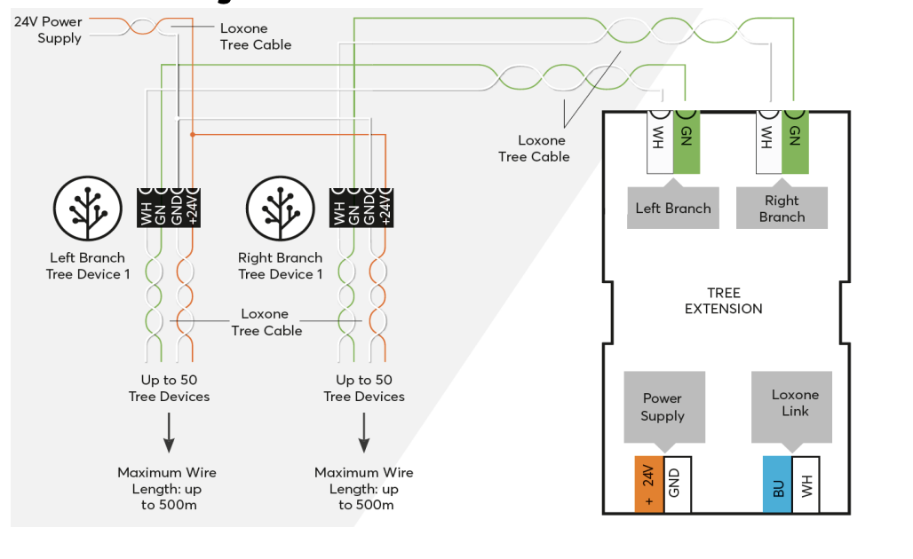 Drawing or Certification
