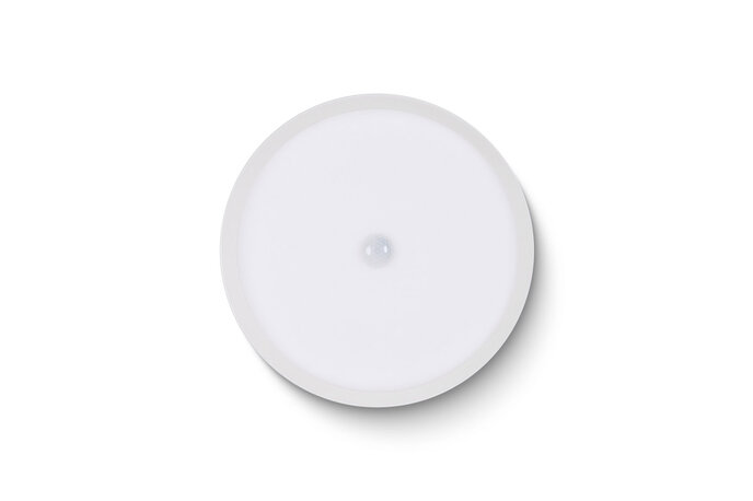 LED Ceiling Light RGBW